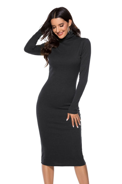 Autumn Winter Women Clothing Solid Color Base Sweater Long Sleeve Stretch Slim Turtleneck Knitting Dress by Ragazza