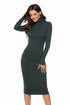 Autumn Winter Women Clothing Solid Color Base Sweater Long Sleeve Stretch Slim Turtleneck Knitting Dress by Ragazza