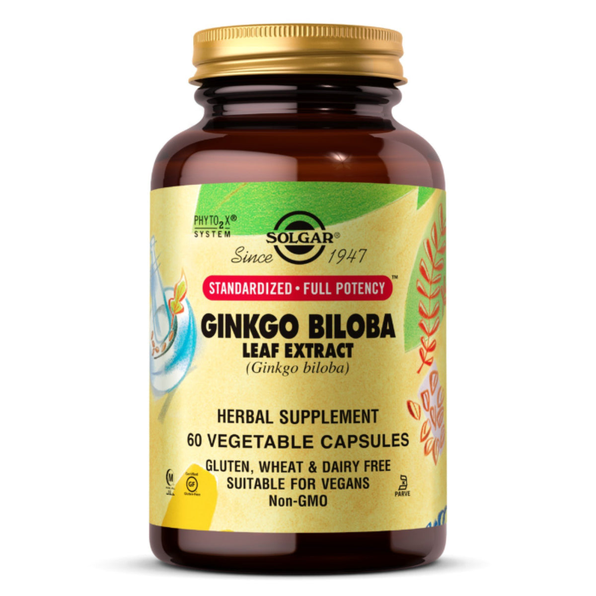 Solgar Ginkgo Biloba Leaf Extract, 180 Vegetable Capsules by Pasteur Pharmacy