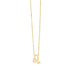 14K Yellow Gold Leo Necklace by Bids.com