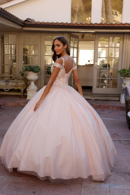 Juliet 1430 Dress Quinceanera Ball Gown Embroidered Applique Glitter Tulle by DiscountDressShop