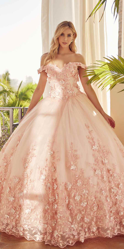 Juliet 1434 Dress Quinceanera Ball Gown 3D Floral Embroidered by DiscountDressShop