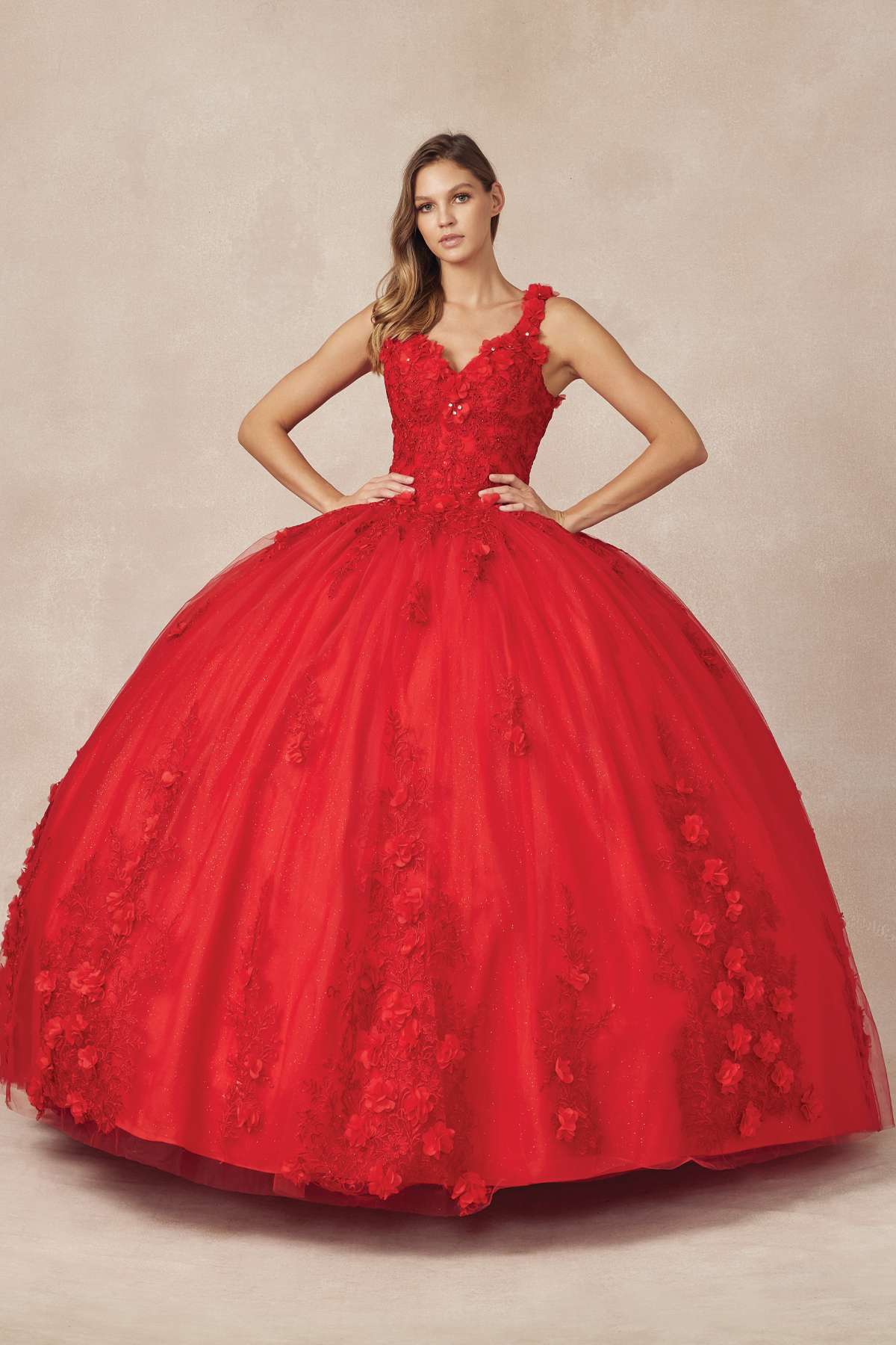 Juliet 1437 Floral Applique Quinceanera Ball Gown With 3D Flowers by DiscountDressShop