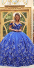 Juliet 1447 Long 3D Floral Appliques Off Shoulder Poofy Ball Gown by DiscountDressShop