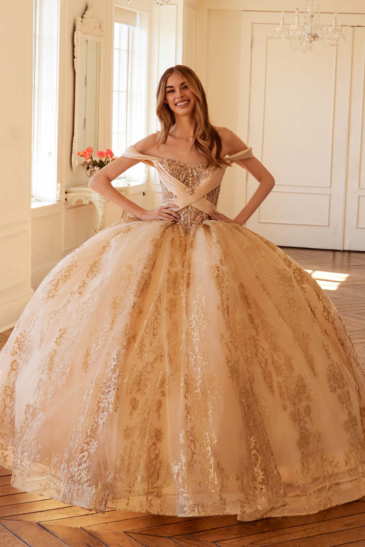 Juliet JT1488H Royal Princess A-Line Ball Gown Quinceanera by DiscountDressShop