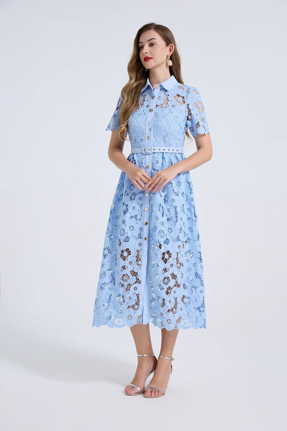 Women Summer Elegant Long A Line Short Sleeved Dress  DestGlow