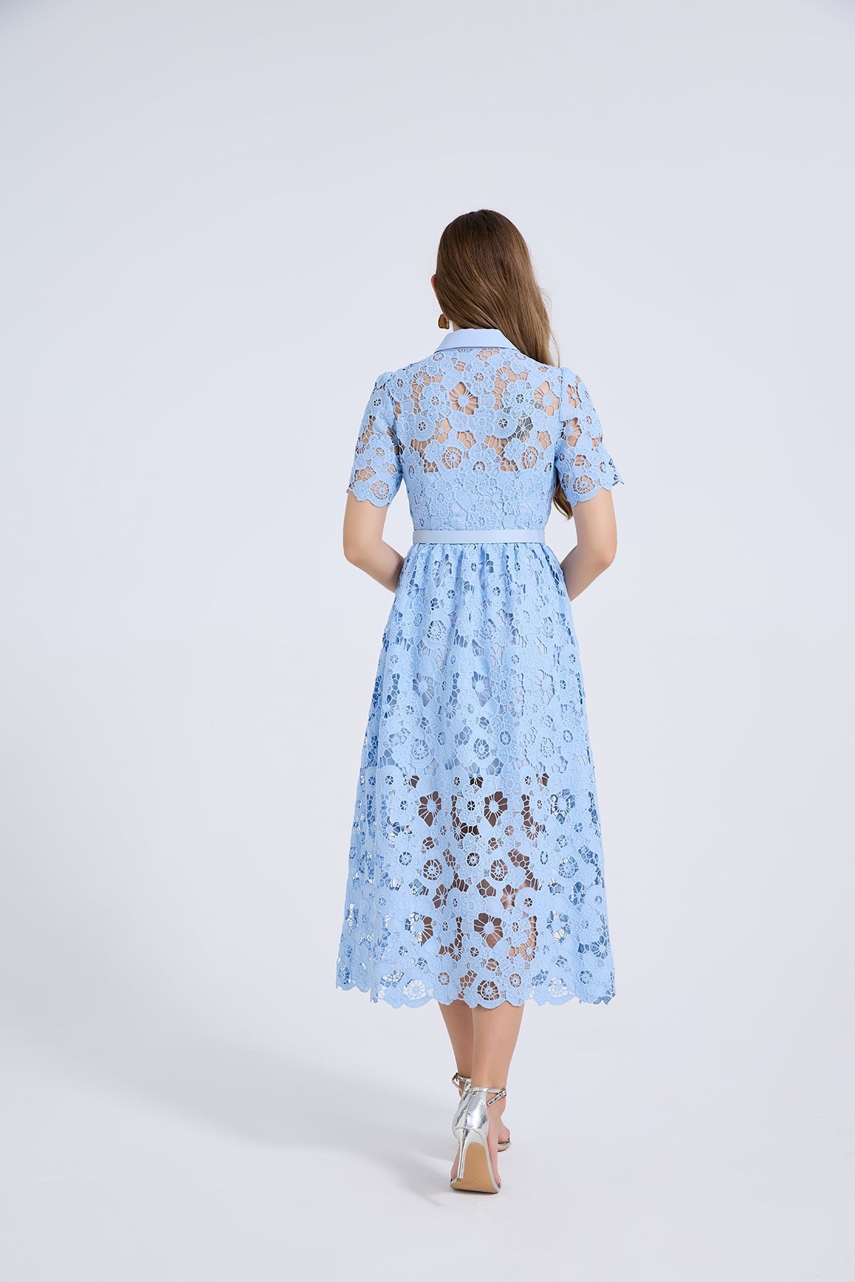 Women Summer Elegant Long A Line Short Sleeved Dress  DestGlow