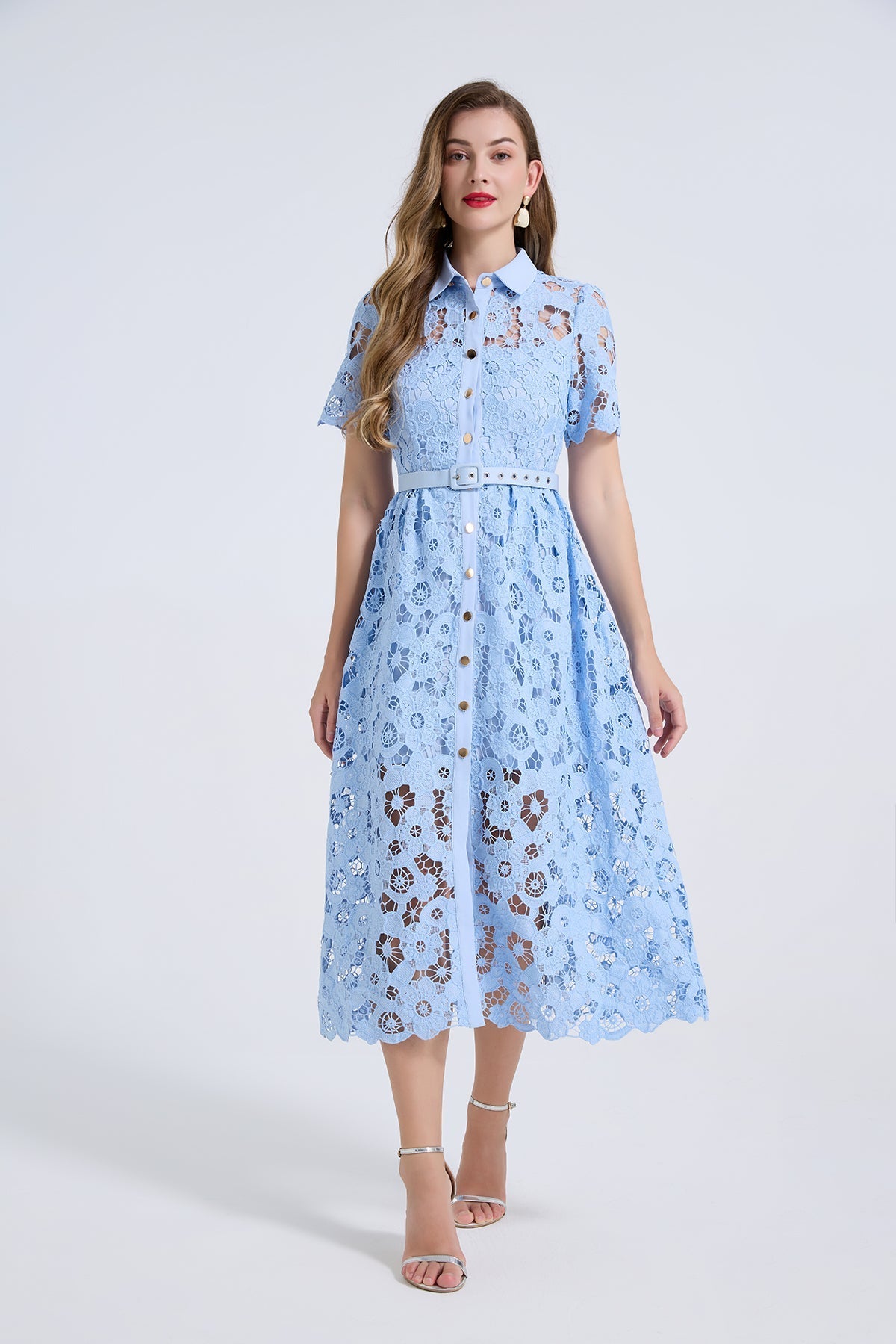 Women Summer Elegant Long A Line Short Sleeved Dress  DestGlow