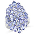 4.62 Carat Genuine Tanzanite .925 Sterling Silver Ring by Bids.com