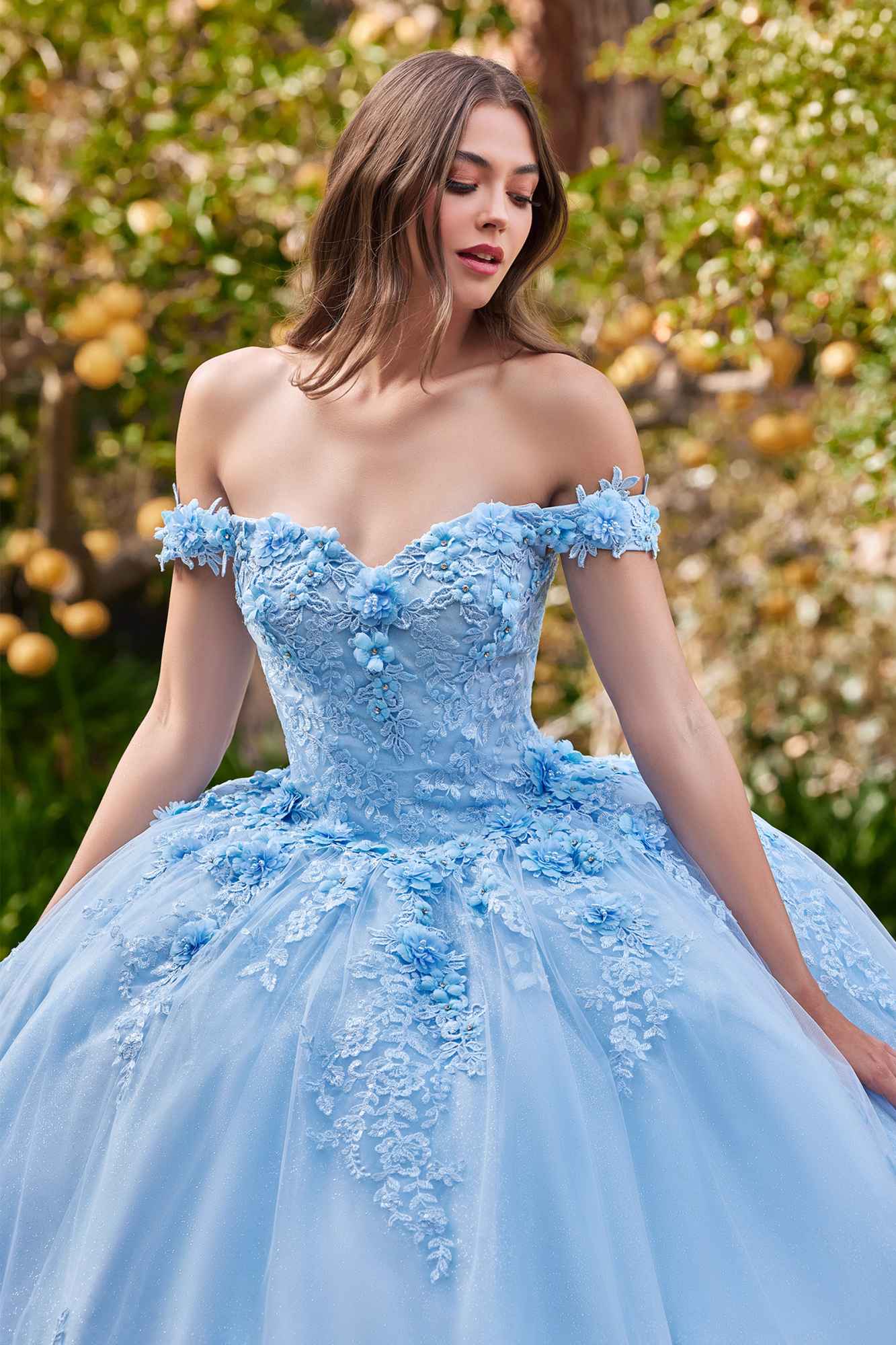 Ladivine 15702 Floral Off the Shoulder Floral Quince Ball Gown by DiscountDressShop
