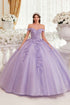 Ladivine 15717 Off the Shoulder 3D Floral Applique Quinceanera Gown by DiscountDressShop