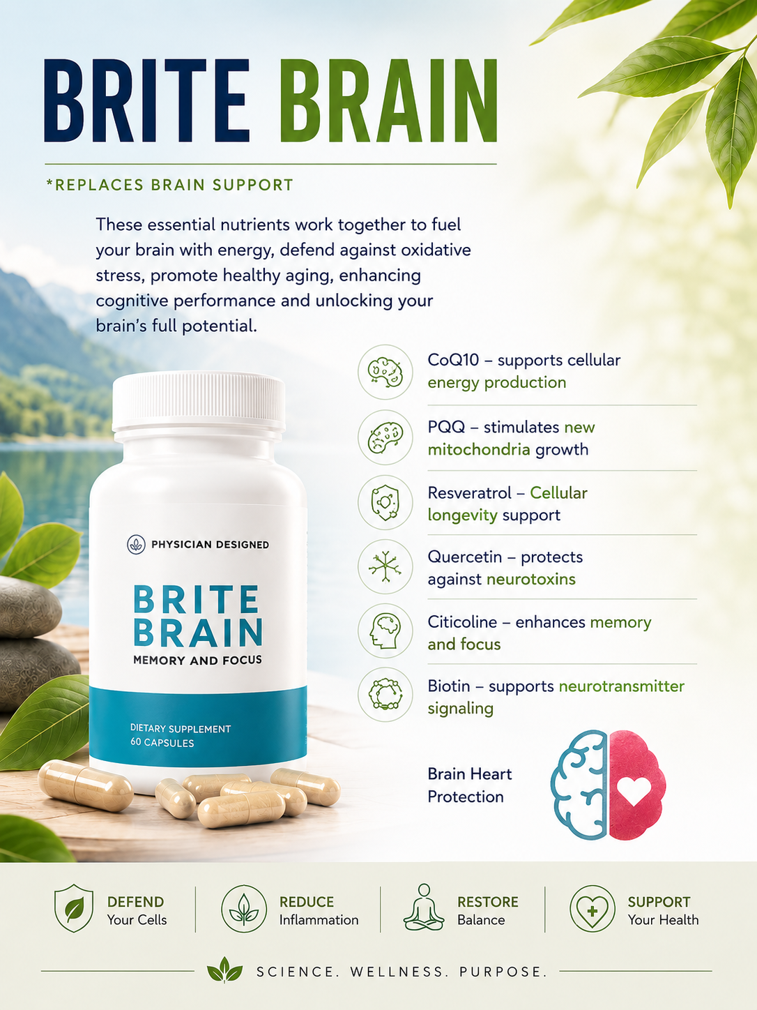 Brite Brain - DestGlow