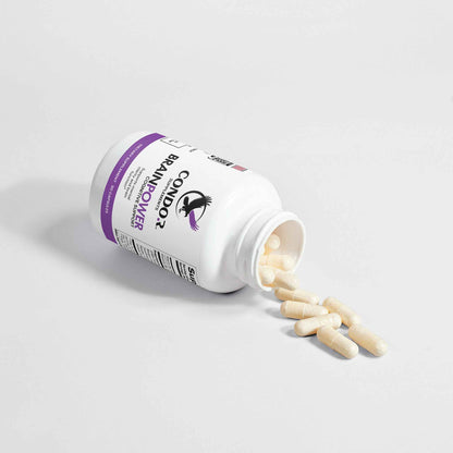 BrainPower - Mental Focus Support