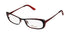 Thalia Canela Eyeglasses