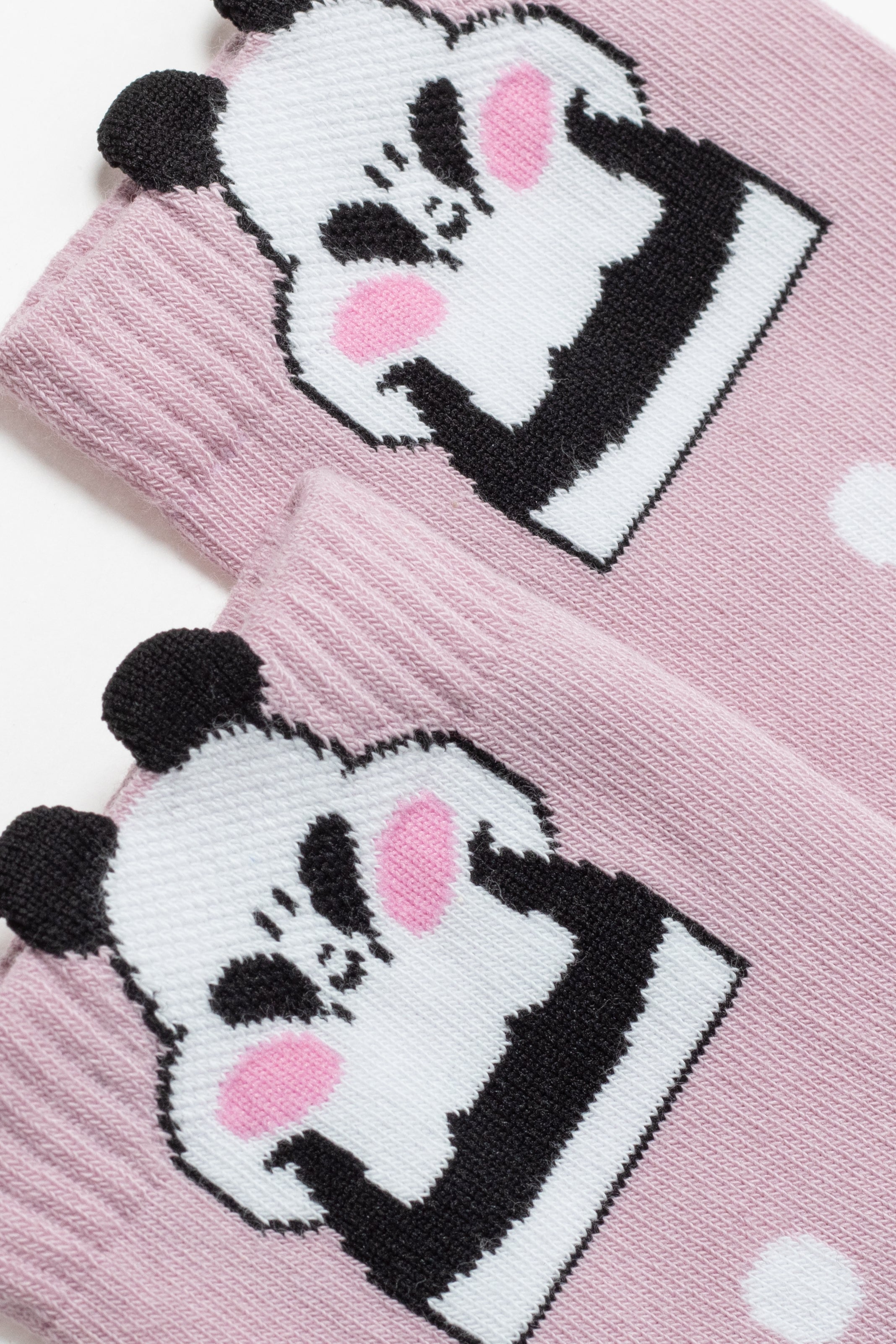 Conte Cotton Socks Classic - 365 