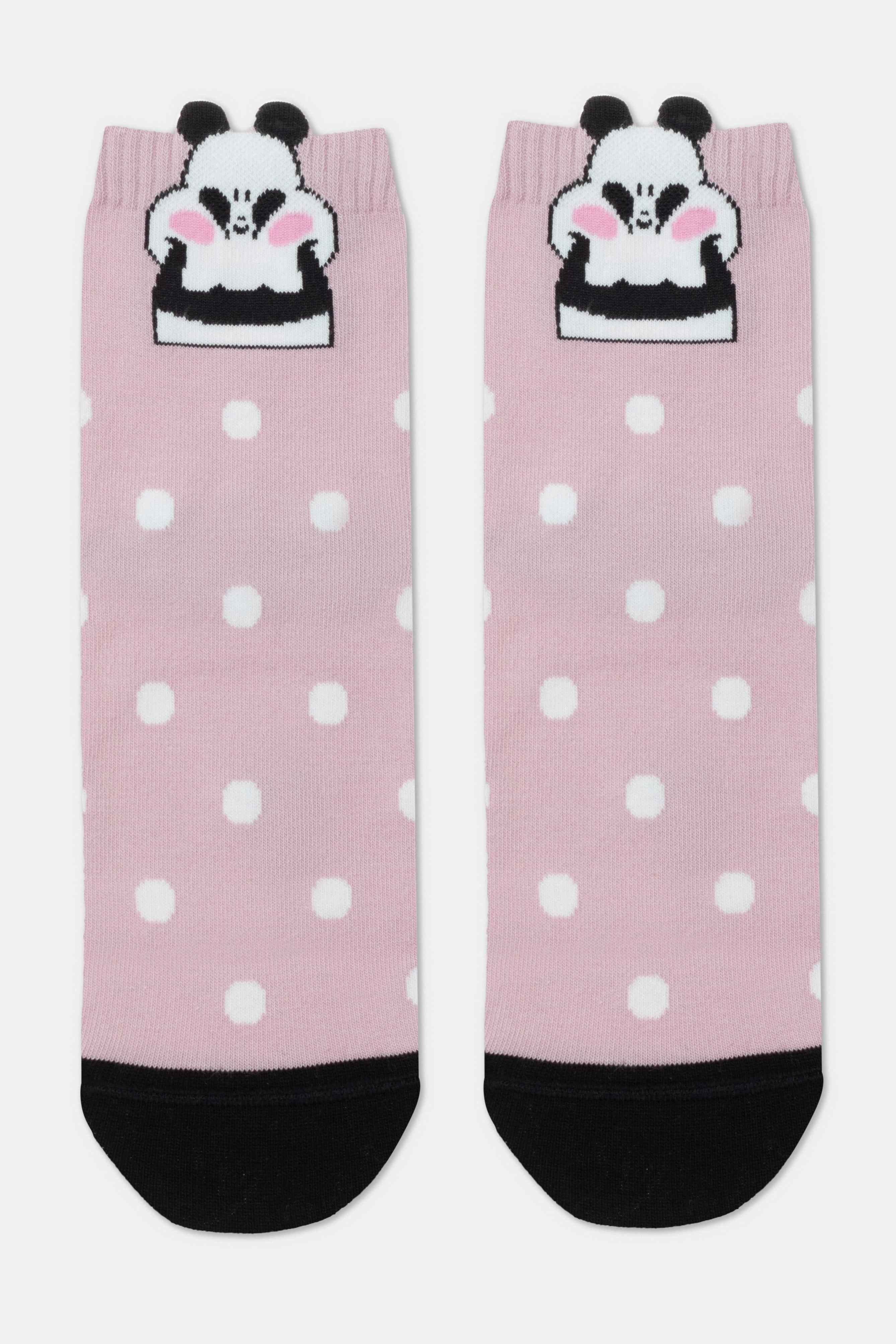 Conte Cotton Socks Classic - 365