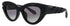 Roberto Cavalli Src009v Eyeglasses by ModaFrames