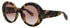 Roberto Cavalli Src010m Eyeglasses by ModaFrames