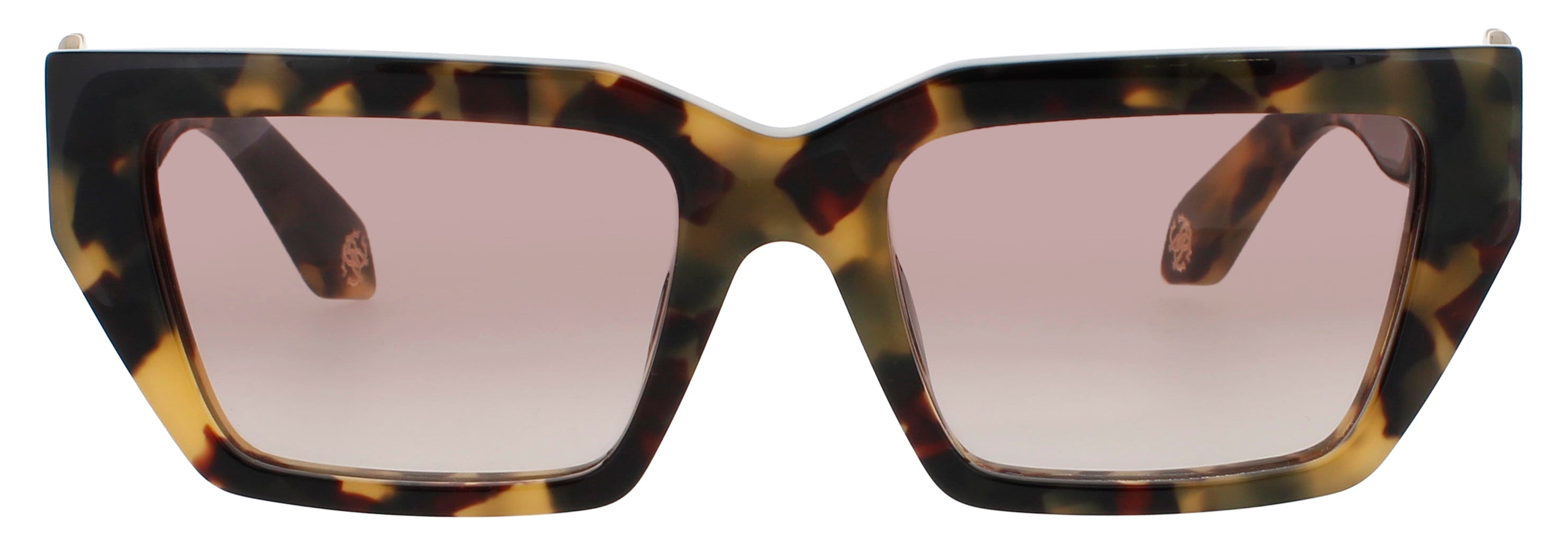 Roberto Cavalli Src016m Eyeglasses by ModaFrames