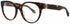 Roberto Cavalli Vrc027m Eyeglasses by ModaFrames