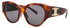 Celine Cl40328f Sunglasses by ModaFrames