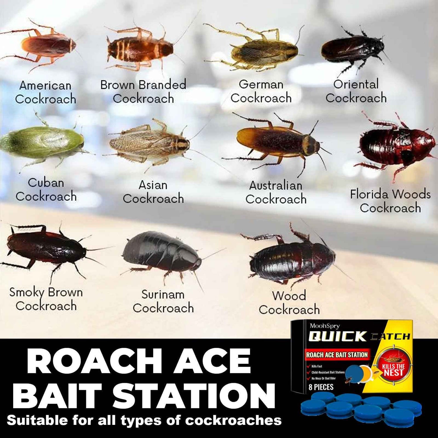 MoonSpry Roach Ace Bait Station, Insect-Repellent Cockroach Bait Kitchen Home Cockroach Elimination Whole Nest End Cleaner