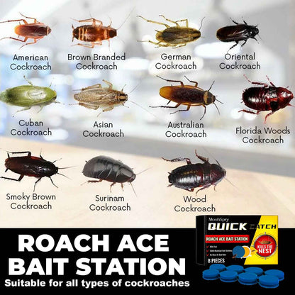 MoonSpry Roach Ace Bait Station, Insect-Repellent Cockroach Bait Kitchen Home Cockroach Elimination Whole Nest End Cleaner