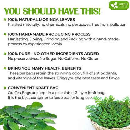 Moringa Leaf Tea Bags, 100% Natural &amp; Pure from Moringa Leaves. Loose Leaf Moringa Herbal Tea. Moringa Leaf Tea. No Sugar, No Caffeine, No Gluten, Vegan