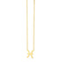 14K Yellow Gold Pisces Necklace  DestGlow