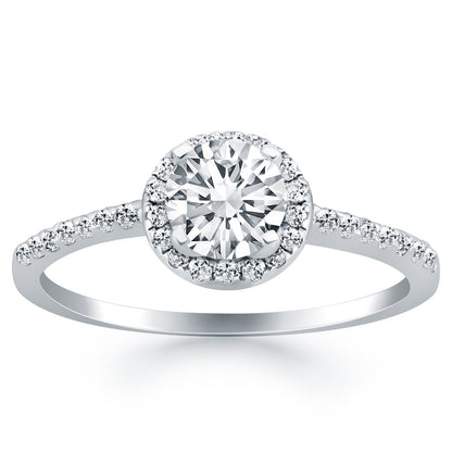 14k White Gold Diamond Halo Collar Engagement Ring by Bids.com