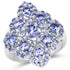 3.31 Carat Genuine Tanzanite .925 Sterling Silver Ring by Bids.com
