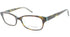 Primary 1065 Eyeglasses by ModaFrames