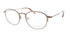 Primary Pt110 Eyeglasses by ModaFrames
