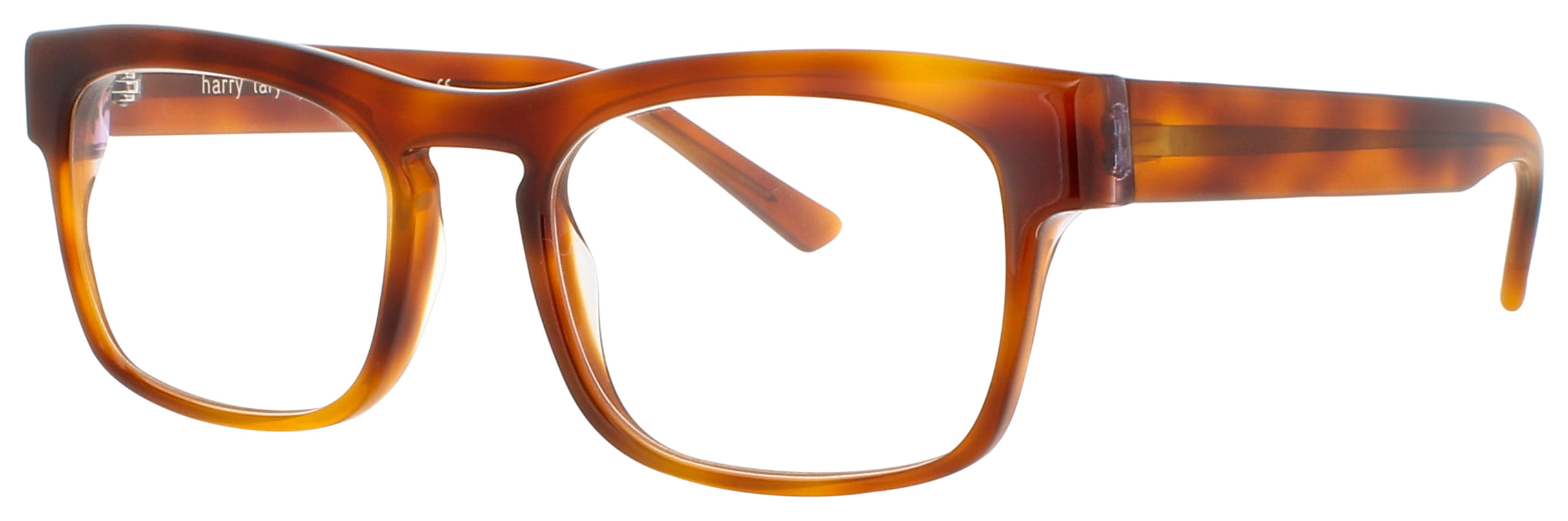 Harry Lary Conformity Eyeglasses by ModaFrames