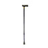 Health Smart Dmi Wood Derby Top Lightweight Adjustable Canes 50213511200 by Pasteur Pharmacy