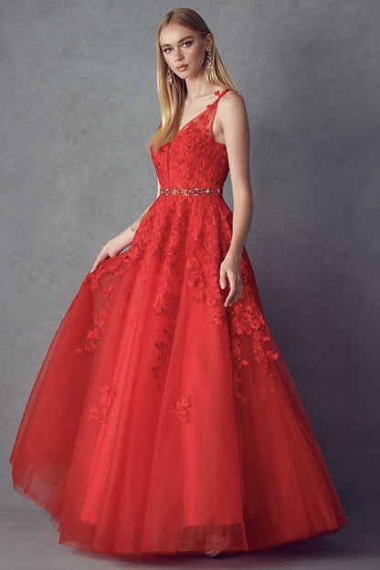 Juliet 224 V-Neck and Back Embroidered Tulle A-Line Ball Gown by DiscountDressShop