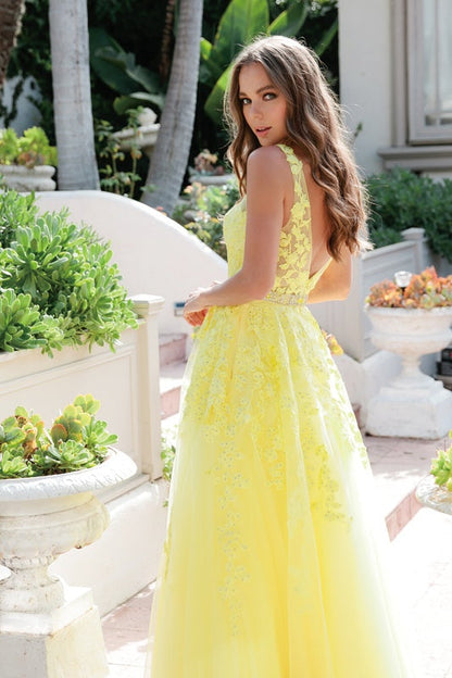 Juliet 224 V-Neck and Back Embroidered Tulle A-Line Ball Gown by DiscountDressShop