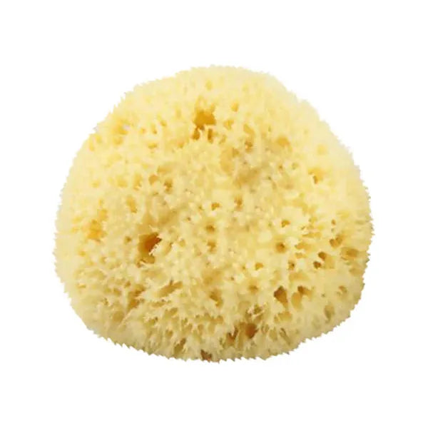 The Sponge Company Natural Bathing Sea Sponge 