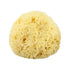 The Sponge Company Natural Bathing Sea Sponge 
