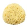 The Sponge Company - Natural Bathing Sea Sponge #3 Large [202-03]