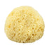 The Sponge Company - Natural Bathing Sea Sponge 