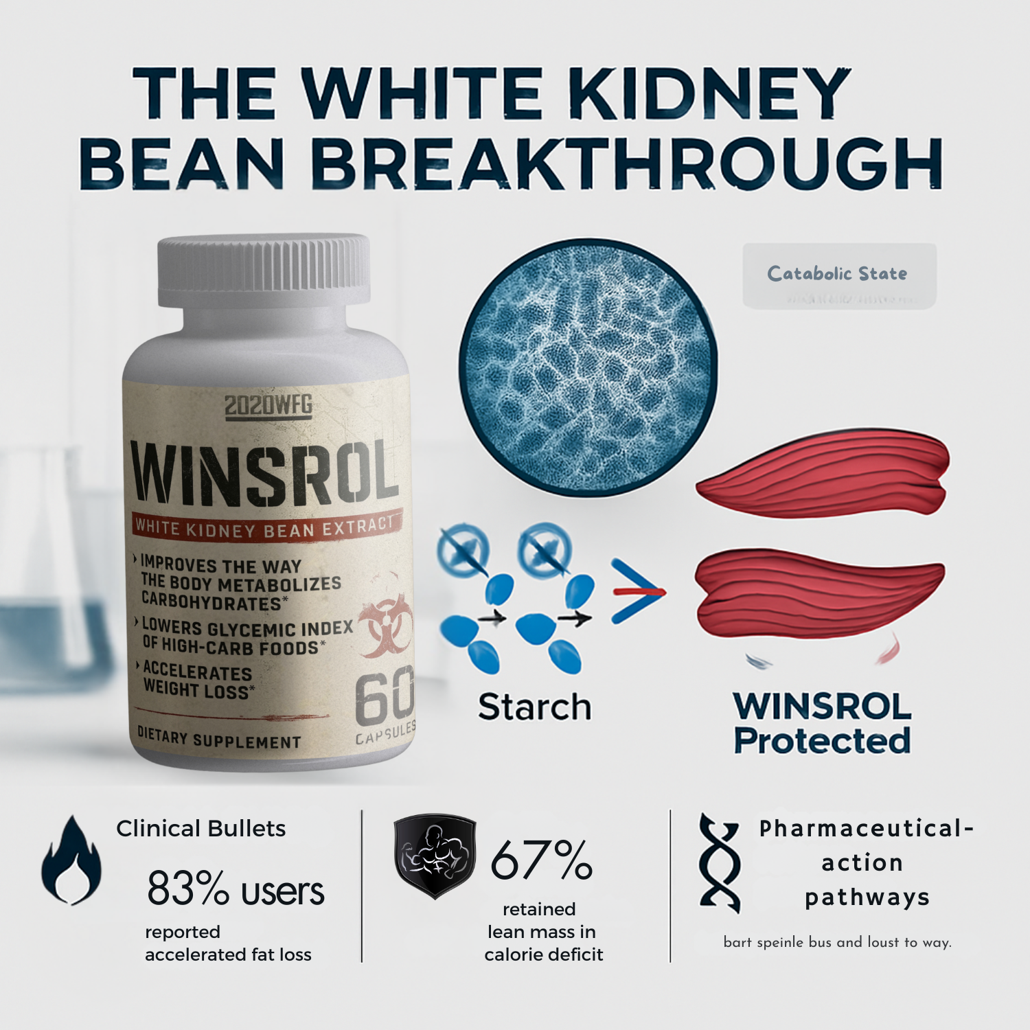 WINSROL: Metabolic Definition Catalyst | 60 Capsules – White Kidney Bean &amp; Natural Actives for Lean Physique Support
