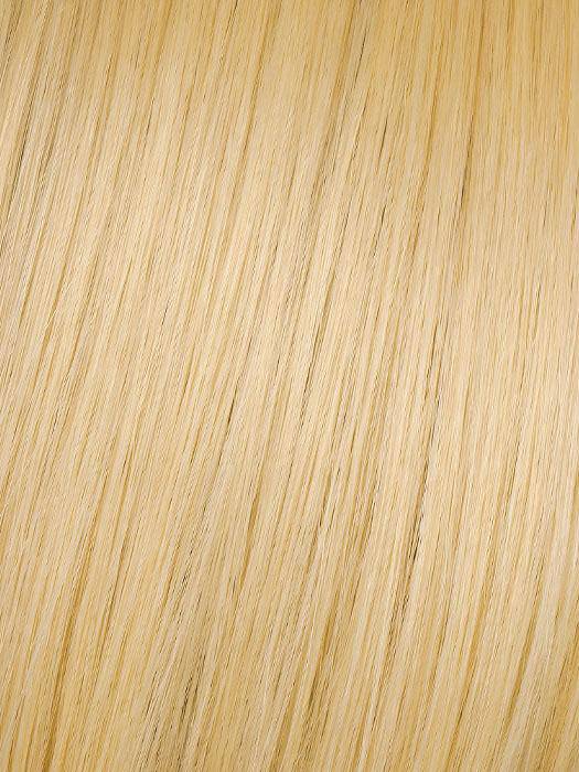 Hairdo 25" Straight Wrap-Around Pony (HF Synthetic Ponytail)