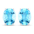 4.00 Carat Genuine Swiss Blue Topaz .925 Sterling Silver Earrings by Bids.com