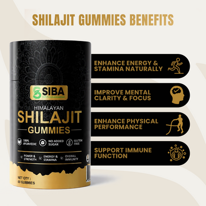 Shilajit Gummies - DestGlow
