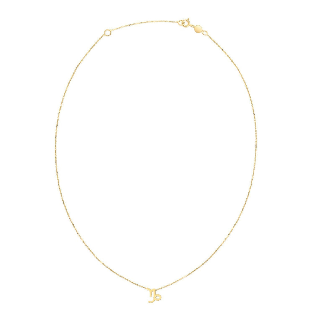 14K Yellow Gold Capricorn Necklace  DestGlow