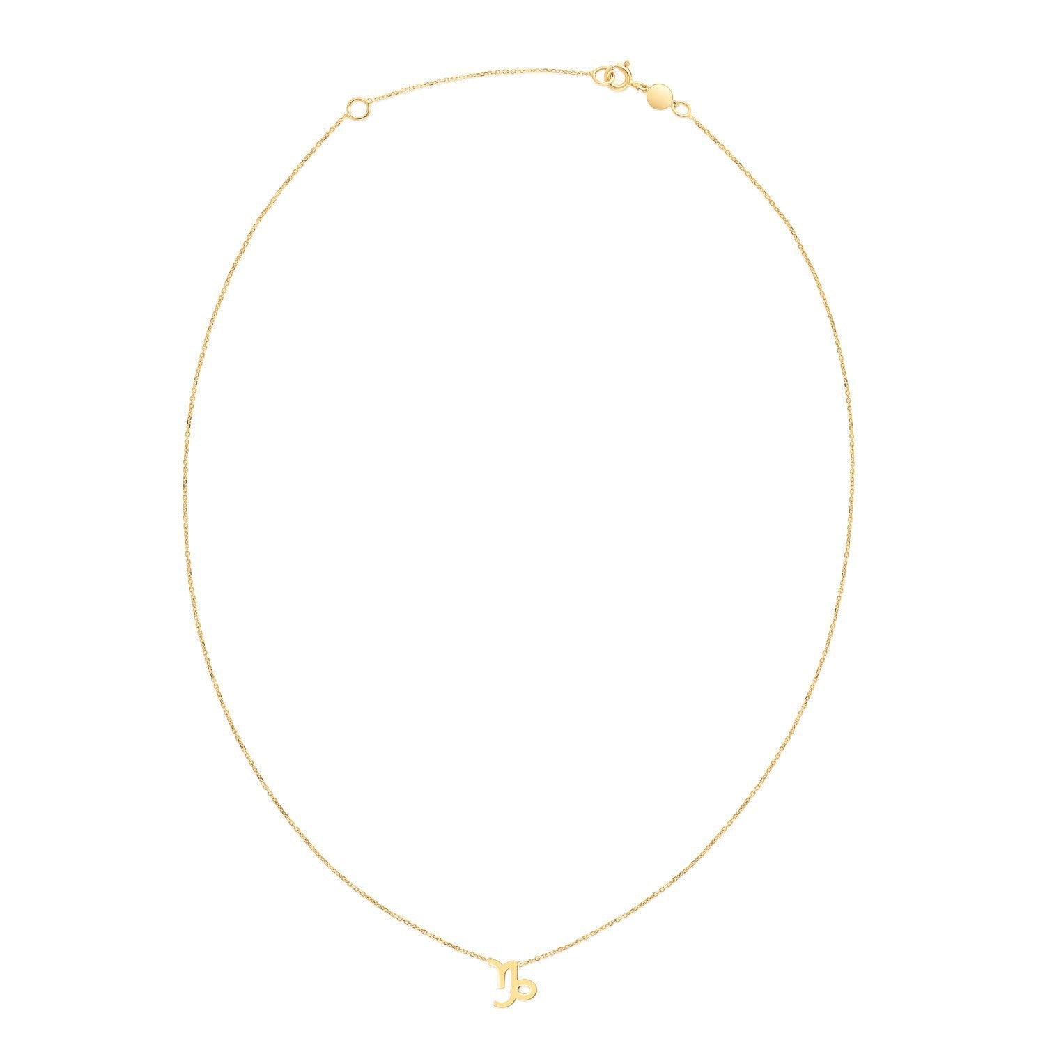 14K Yellow Gold Capricorn Necklace  DestGlow