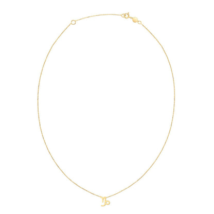 14K Yellow Gold Capricorn Necklace  DestGlow
