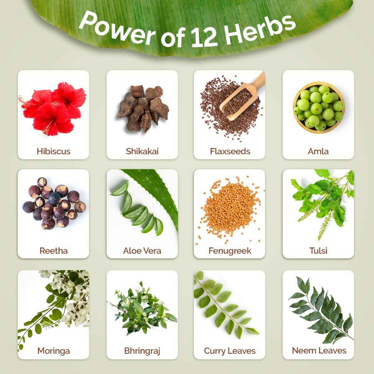 Mamaearth Kerala Thaali Cleansing Hair Mask with Power of 12 Herbs for Thick &amp; Long Hair