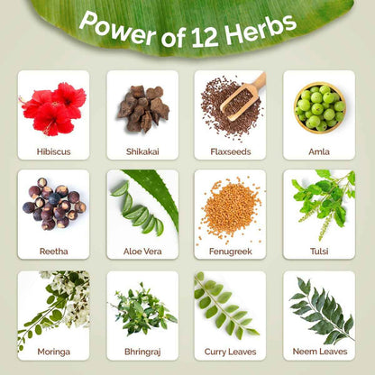 Mamaearth Kerala Thaali Cleansing Hair Mask with Power of 12 Herbs for Thick &amp; Long Hair